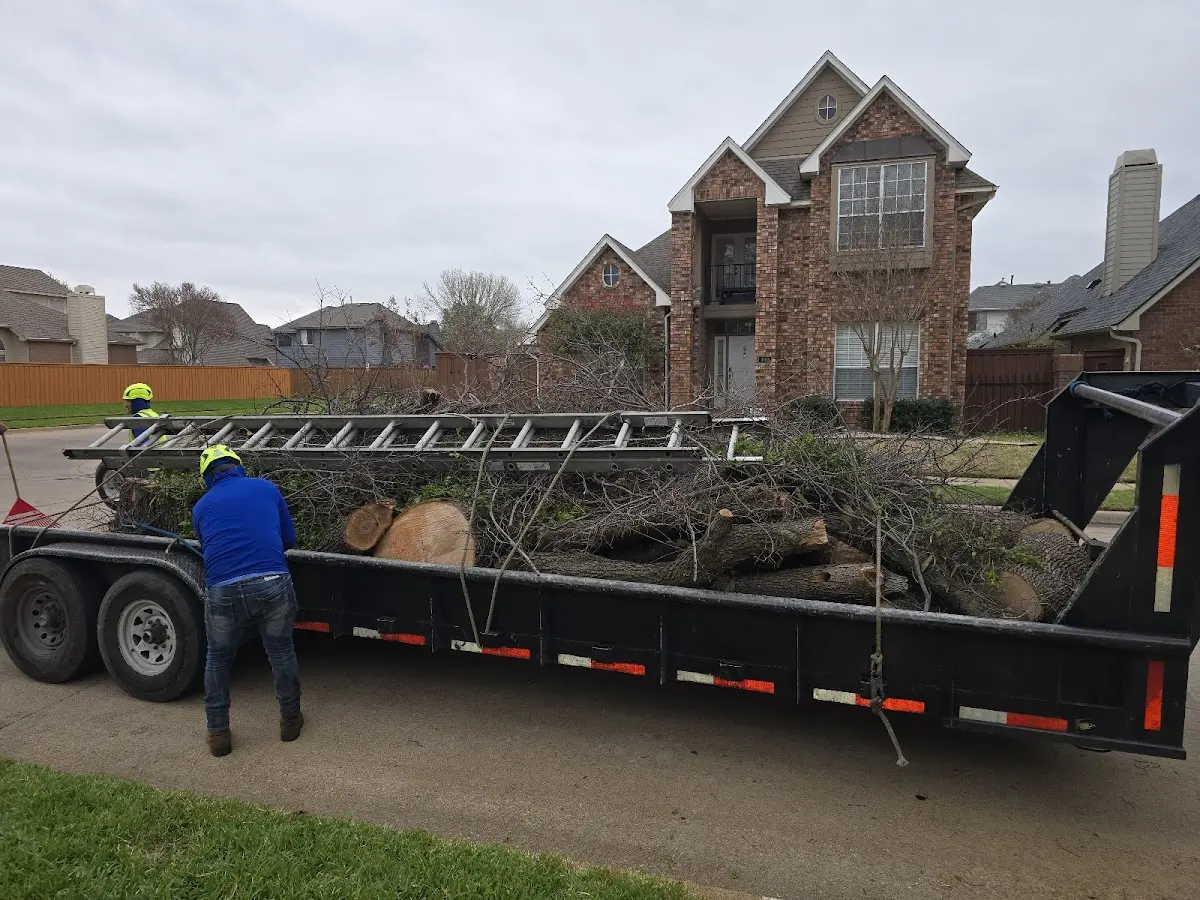 Expert Lot Clearing with proper safety equipment in Chino Hills